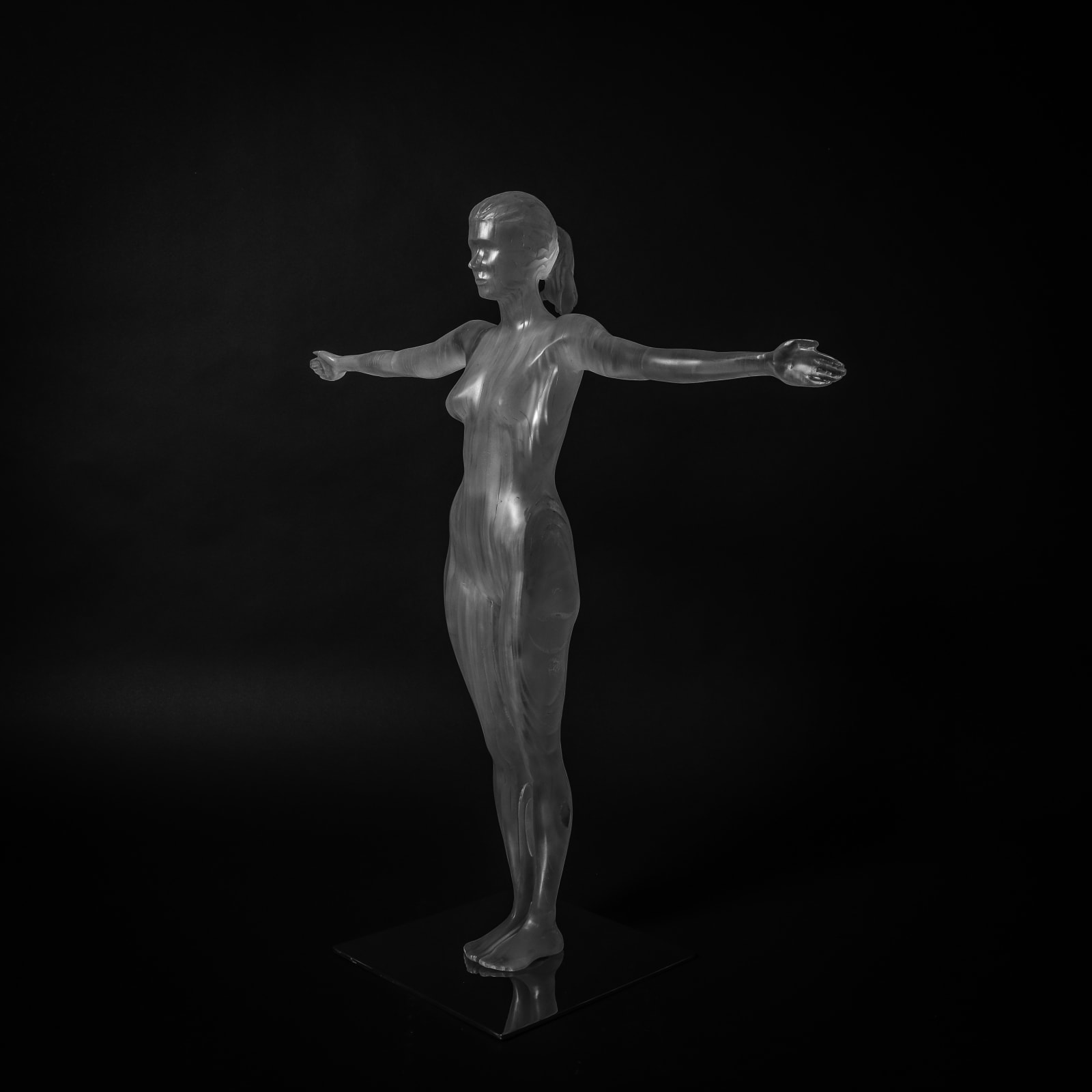 'Vitruvian Woman I', 2017