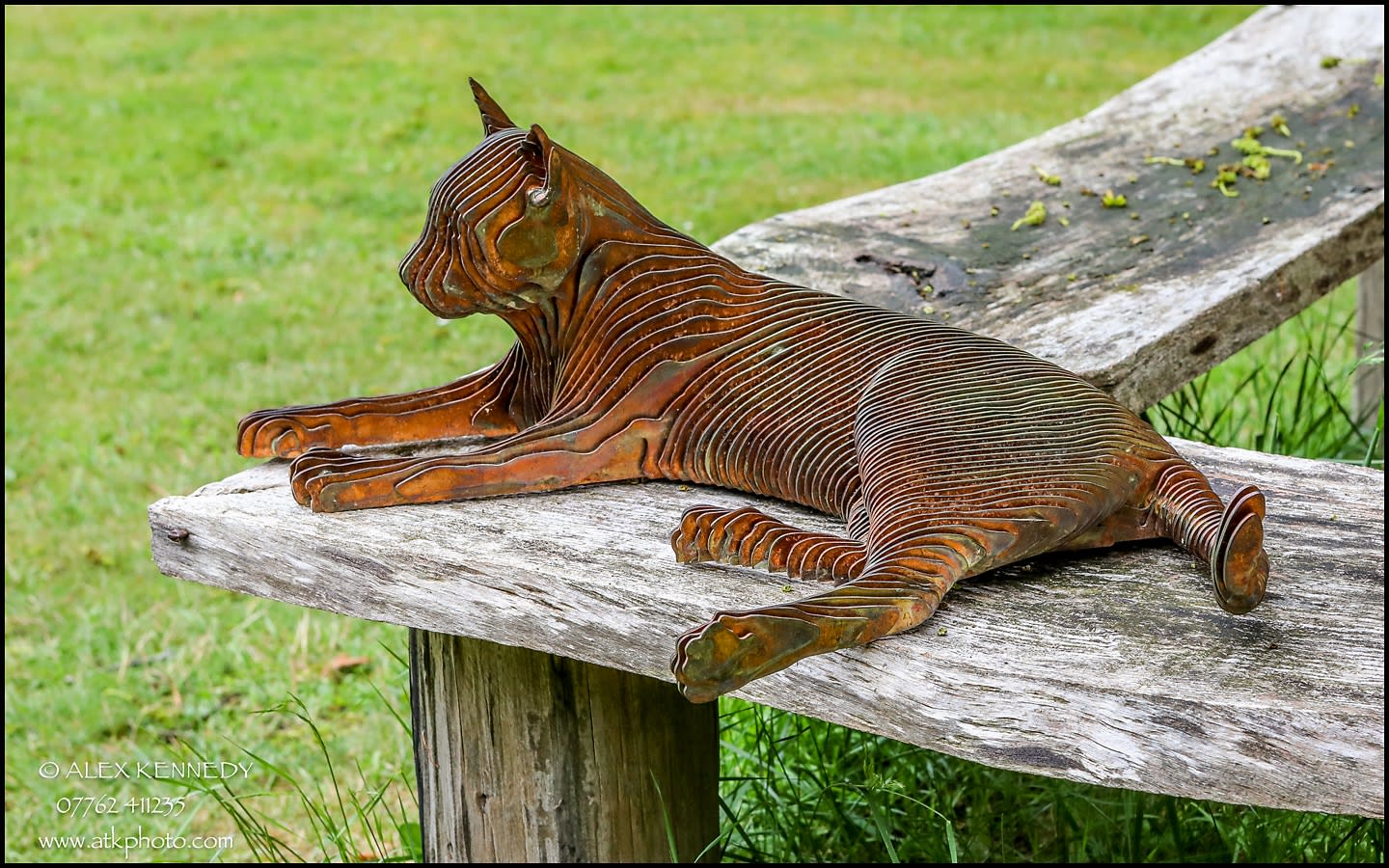 Marmalade, 2017