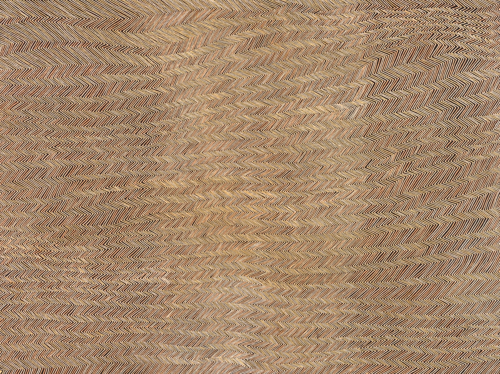 Doreen Reid Nakamarra, Marrapinti, 2009