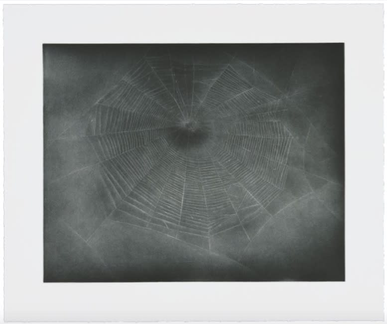 Vija Celmins, Untitled (Web 3), 2002