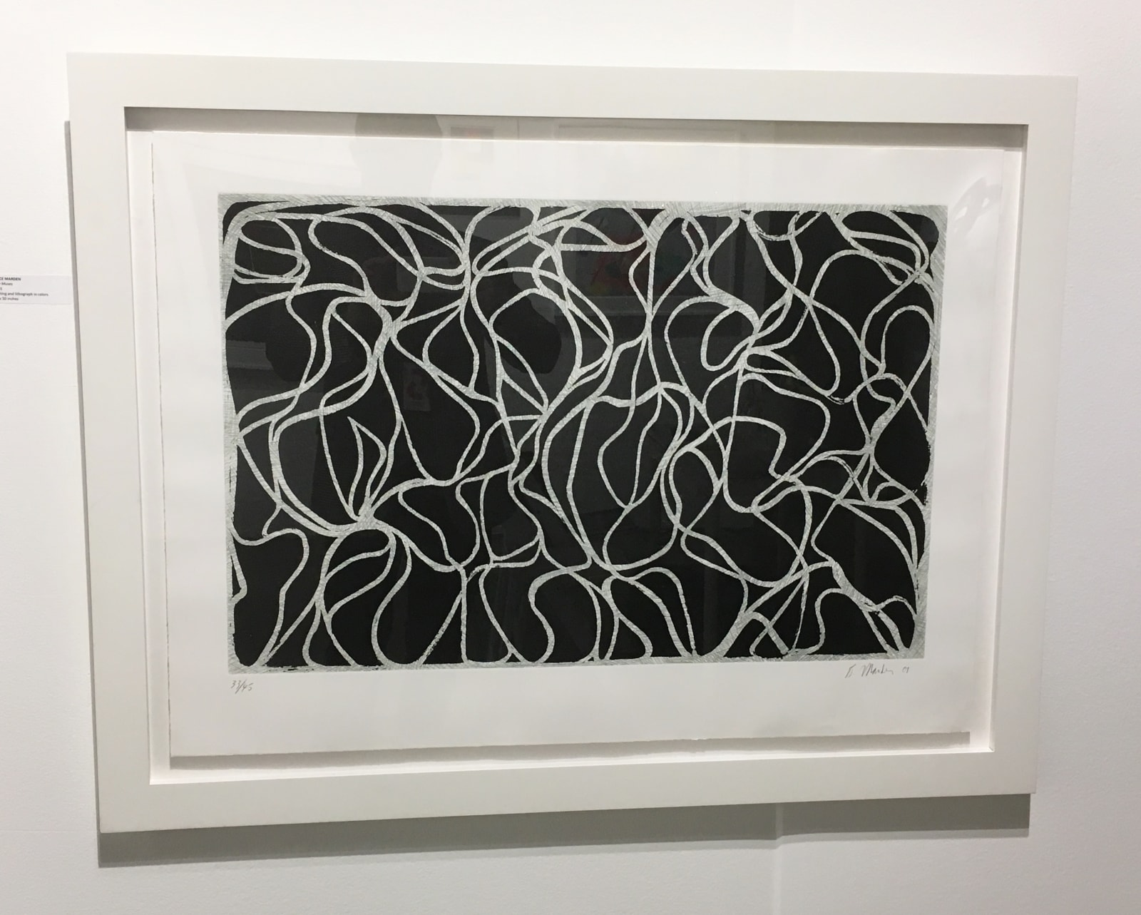 Brice Marden, Line Muses, 1999-2001