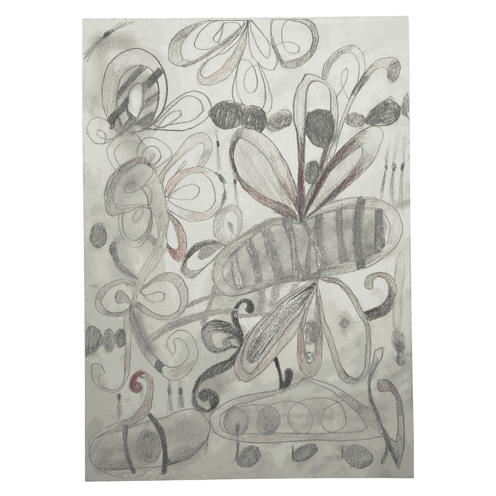 Anna Taganzeva, Garden of edible flowers, 2022