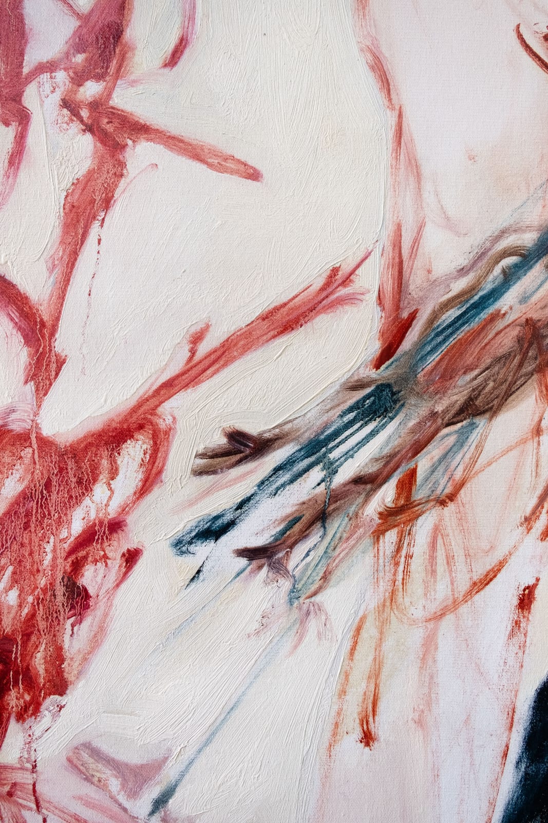Arina Frank, The death of a rooster, 2023