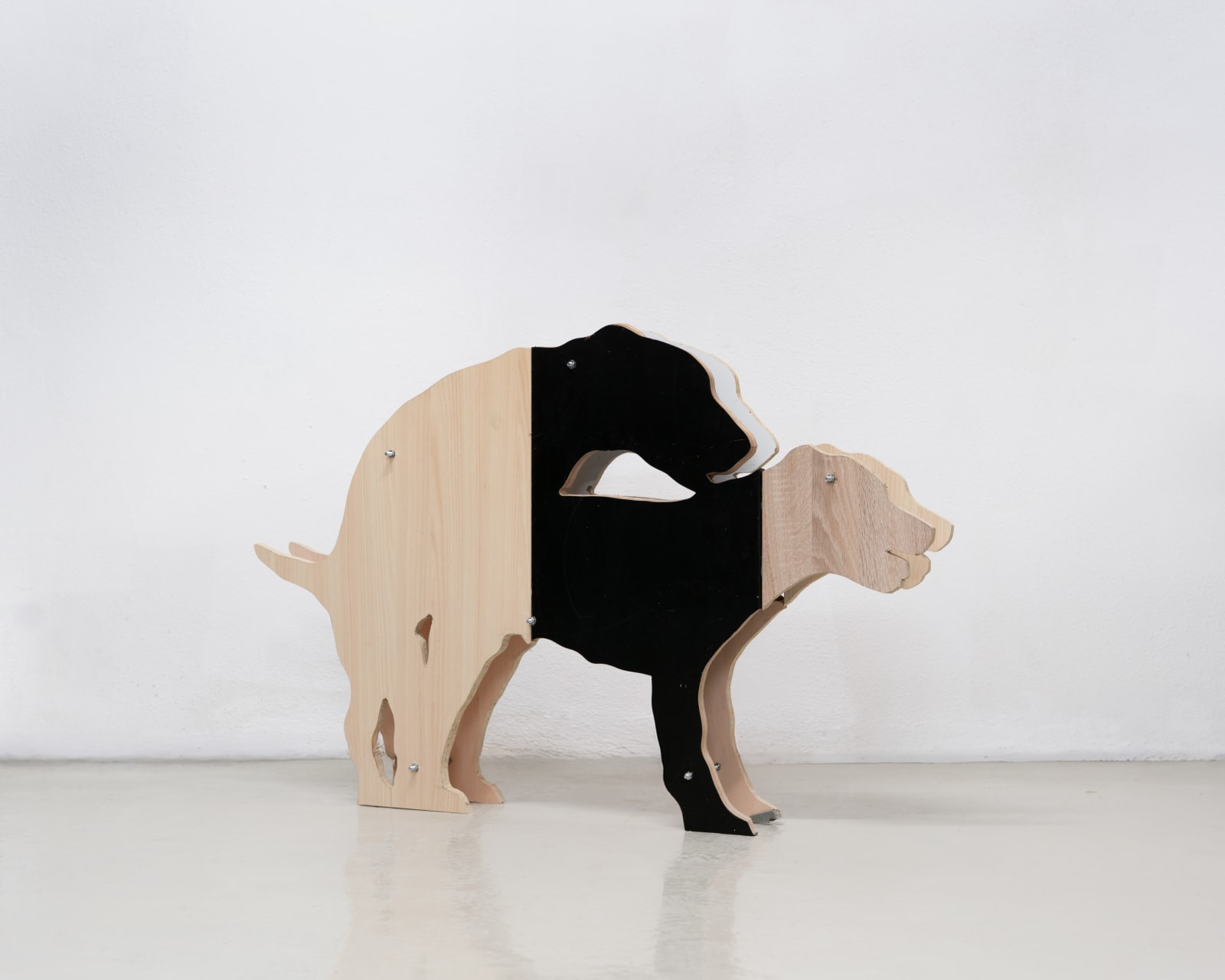 Stasia Grishina, What matters is the Degree of Sincerity (Dog V), 2025