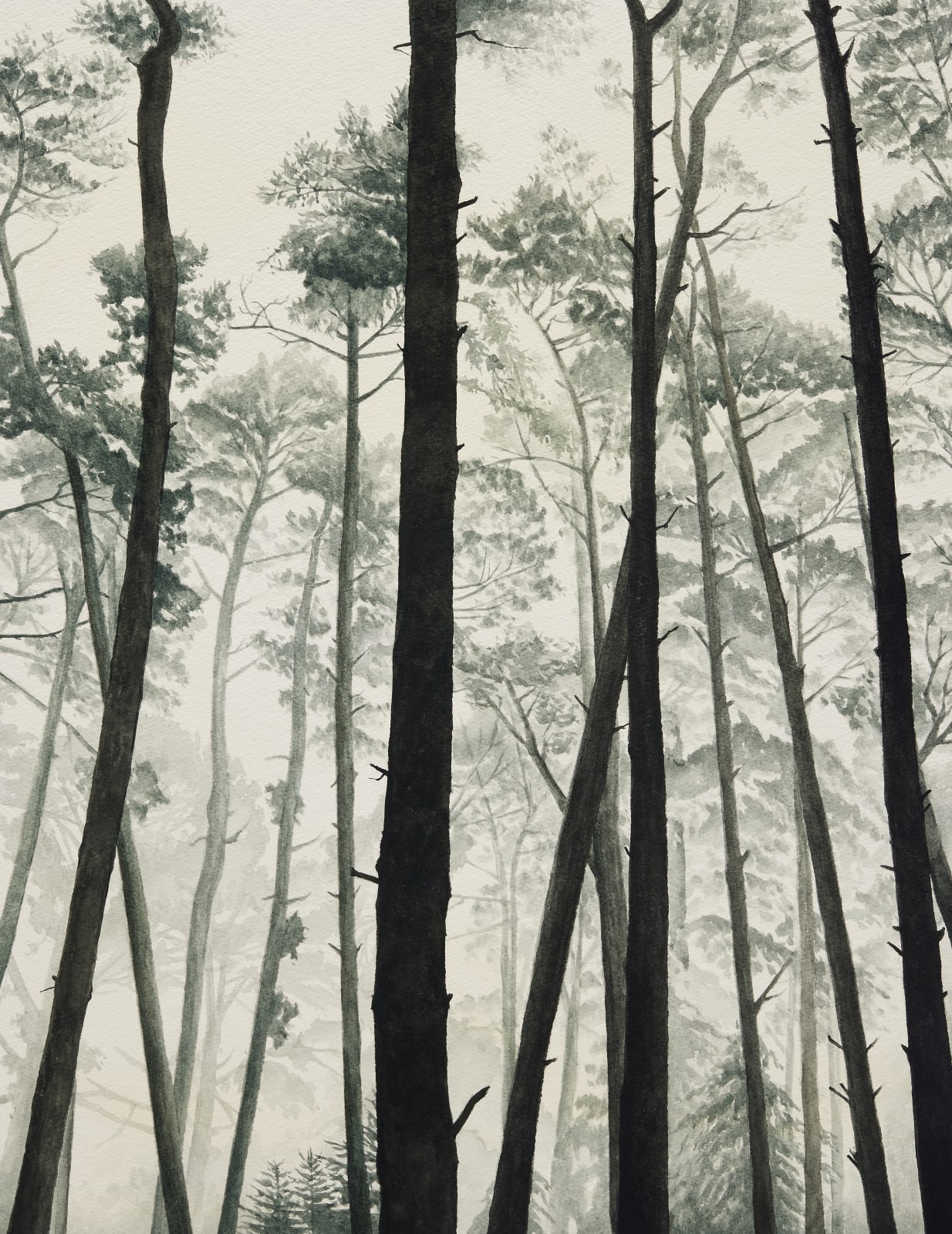 Sean Cavanaugh Midsummer Fog, 2021 Watercolor & pencil on paper 30.25 by 22.5 inches