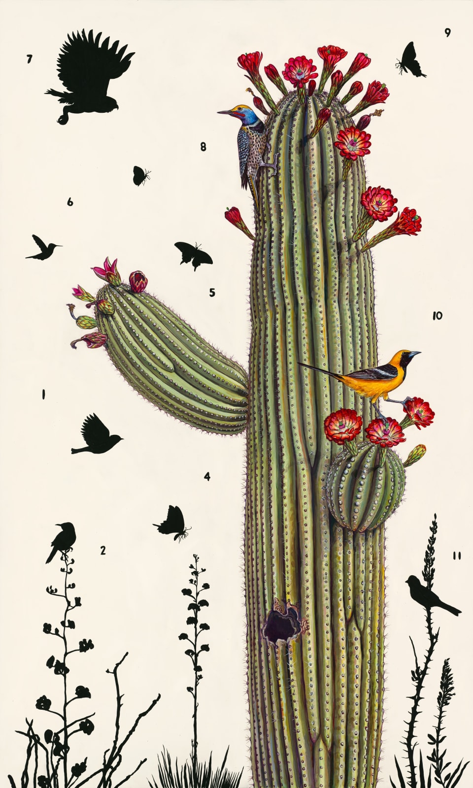 James Prosek Sonoran Desert No. 1 (Study), 2022 Watercolor, gouache, & graphite on paper 22.5 by 30 inches