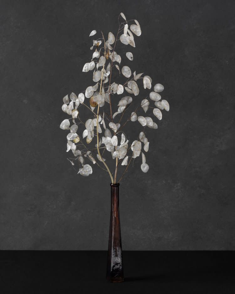 Puck Soetens, Judaspenning in een glazen vaas