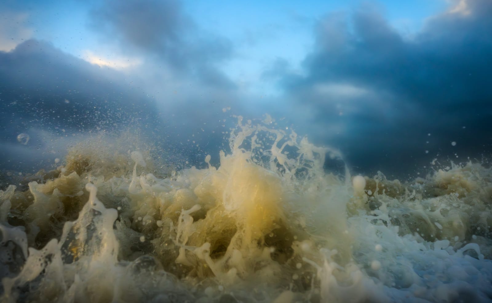 Mischa Keijser, Maro V2 #041