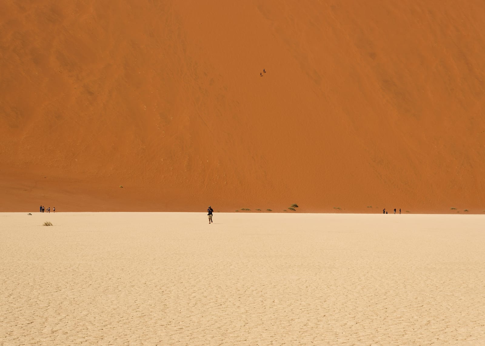 Karen Winnubst , Sossusvlei II