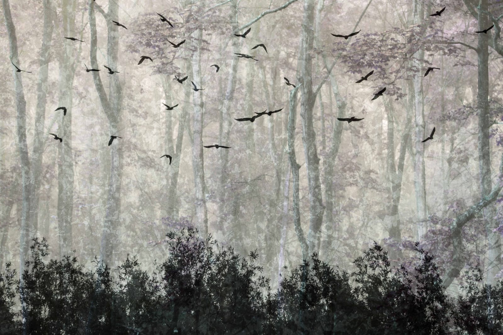 Karen Winnubst , Beyond II