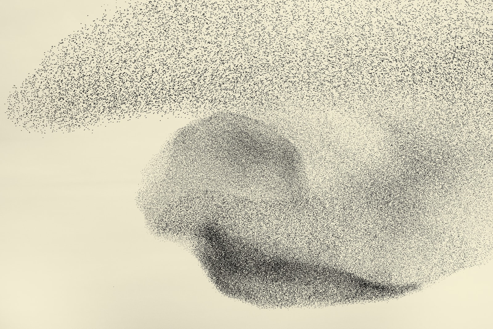 Erik Hijweege, Prima Donna