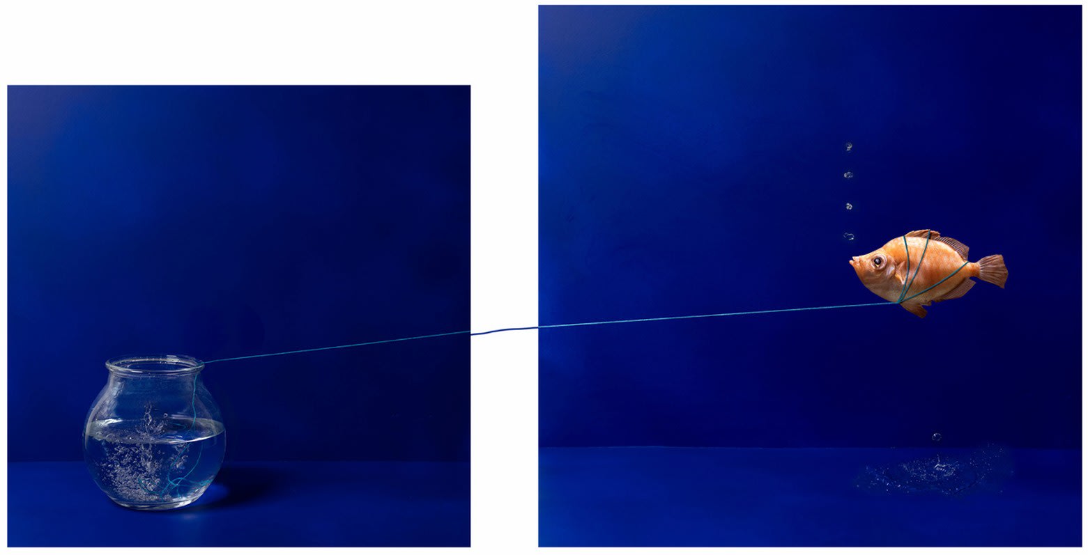 Kaat Stieber, Explorer