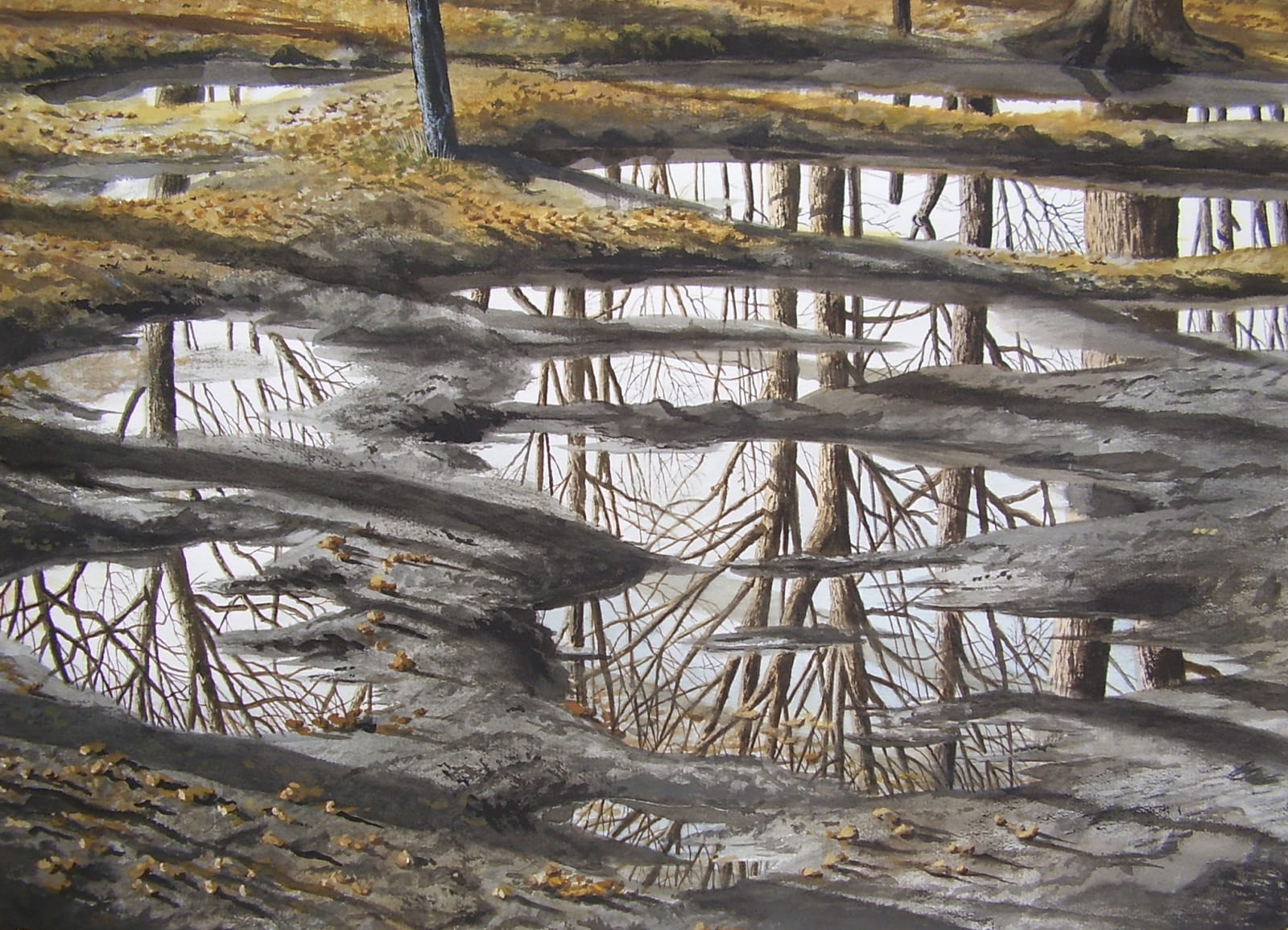 Stefan Bleekrode, Reflections