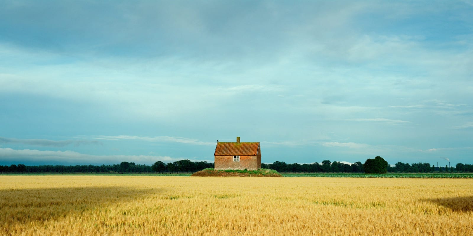 Mischa Keijser, Griendkeet, Biesbosch, 2010
