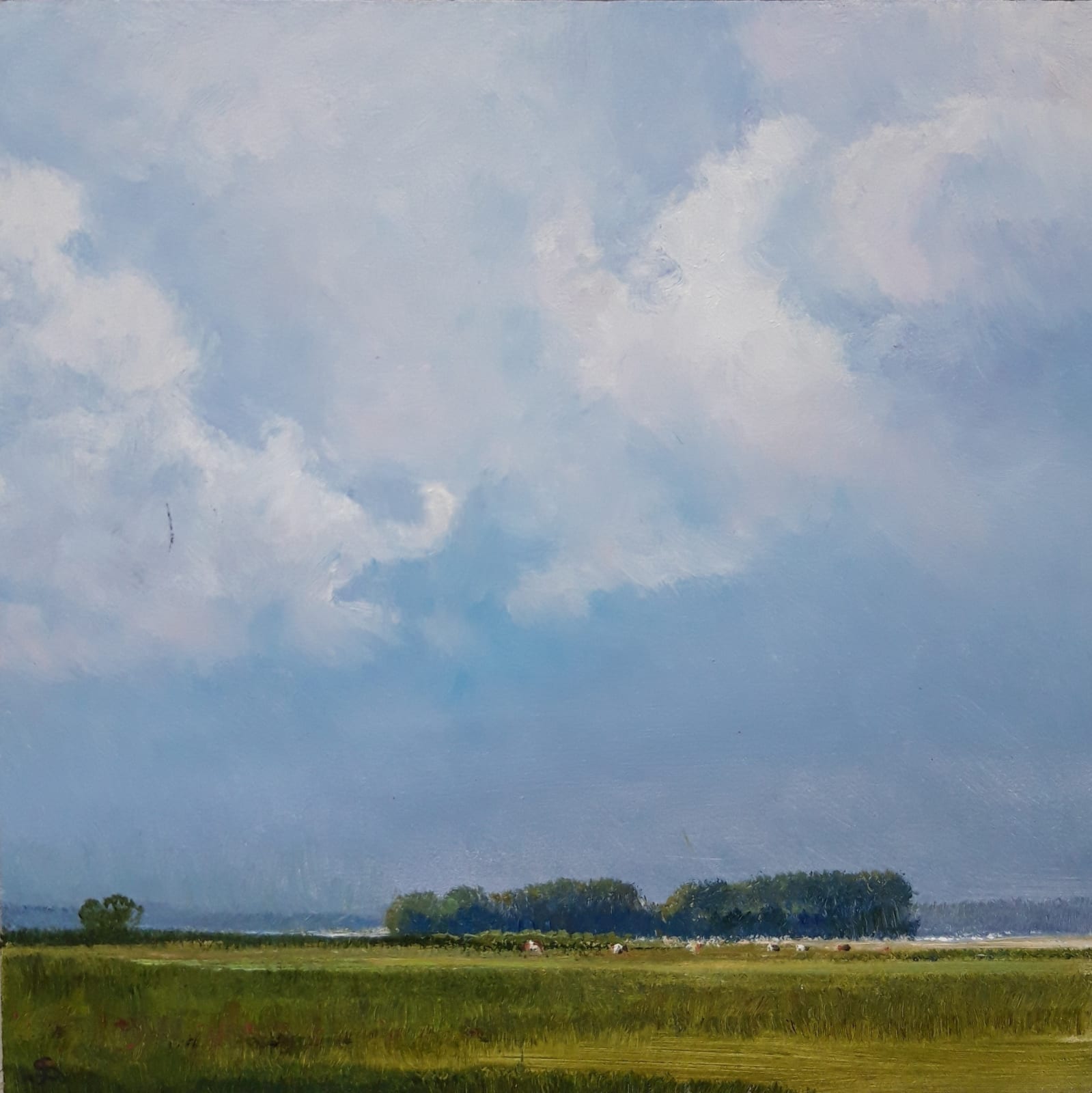 Jan Scholten, Summertime