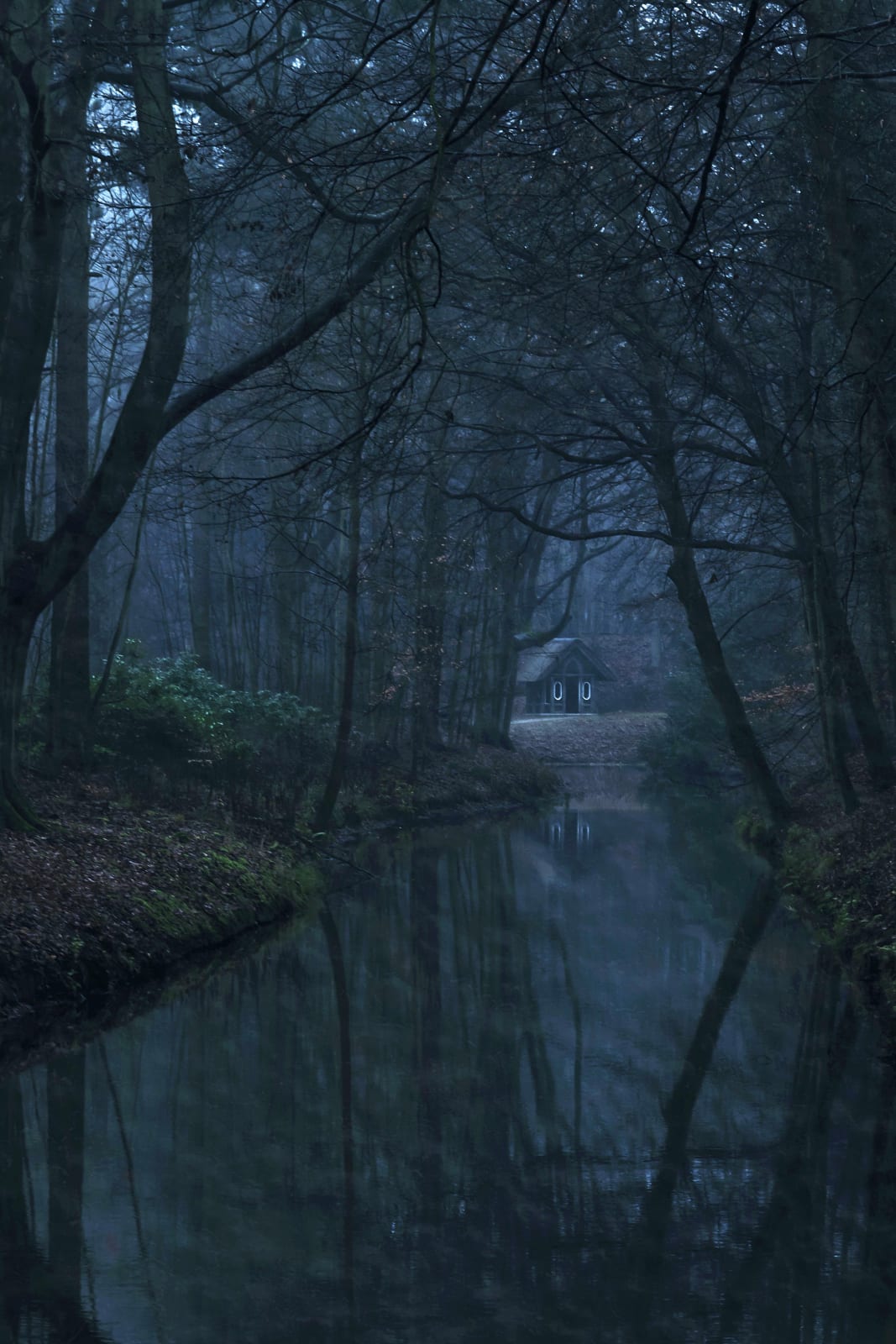 Karen Winnubst , Blue Forest
