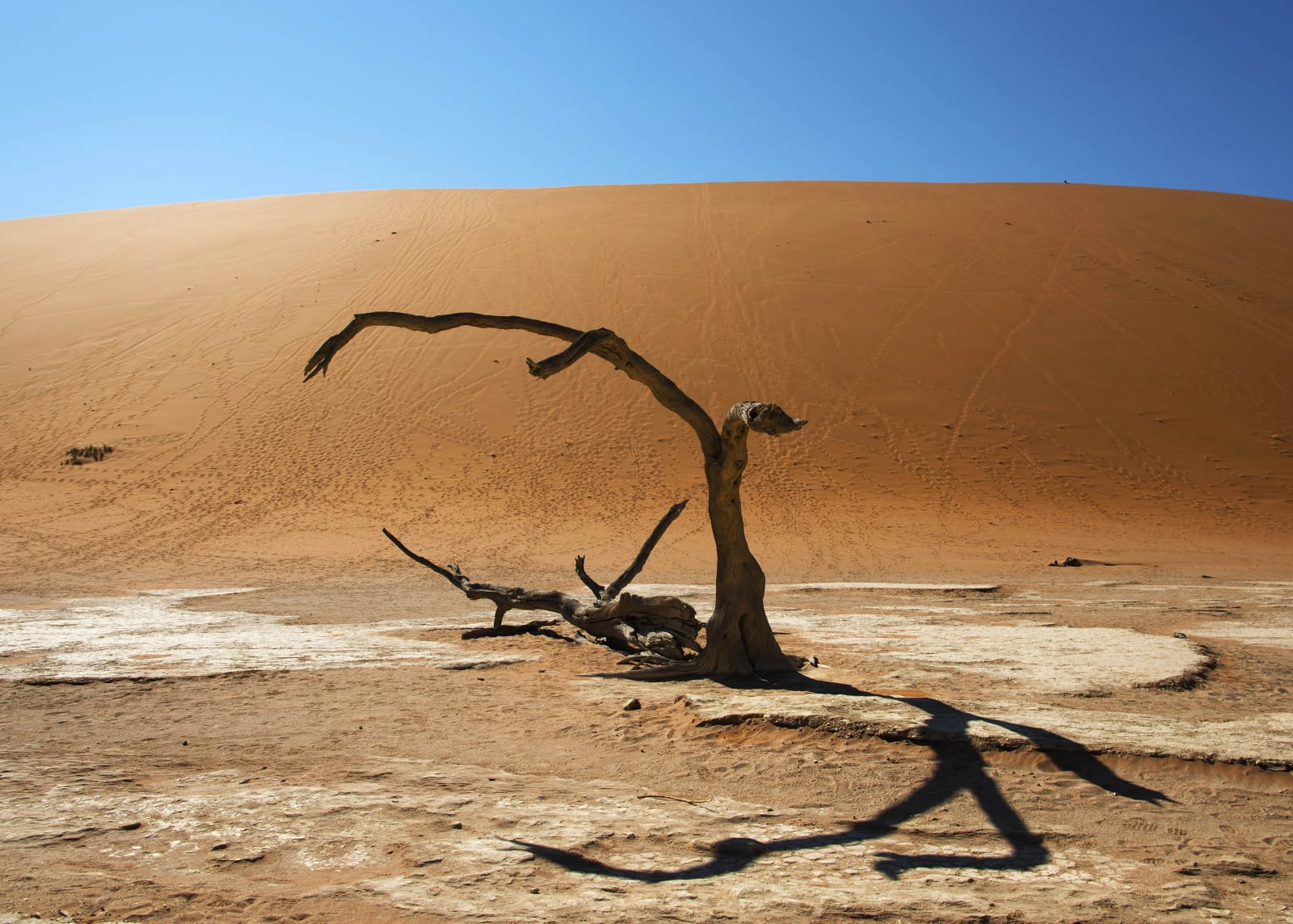 Karen Winnubst , Sossusvlei I