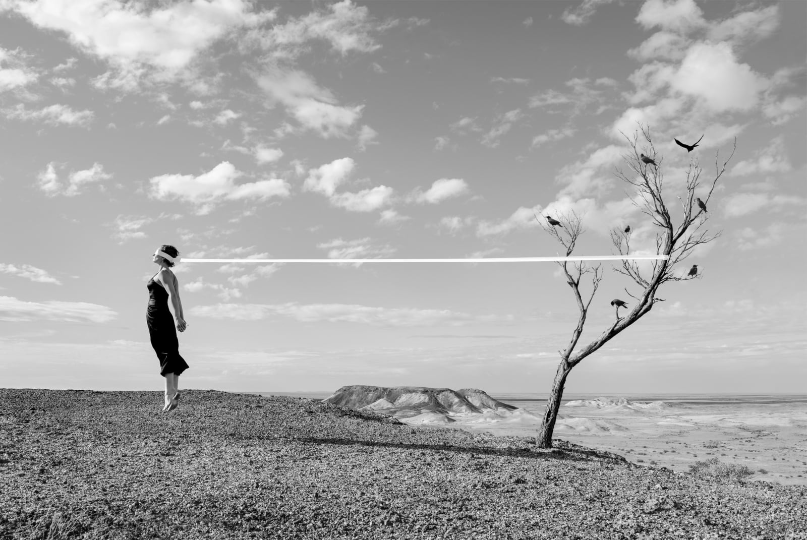 Astrid Verhoef, Inscapes - Birds