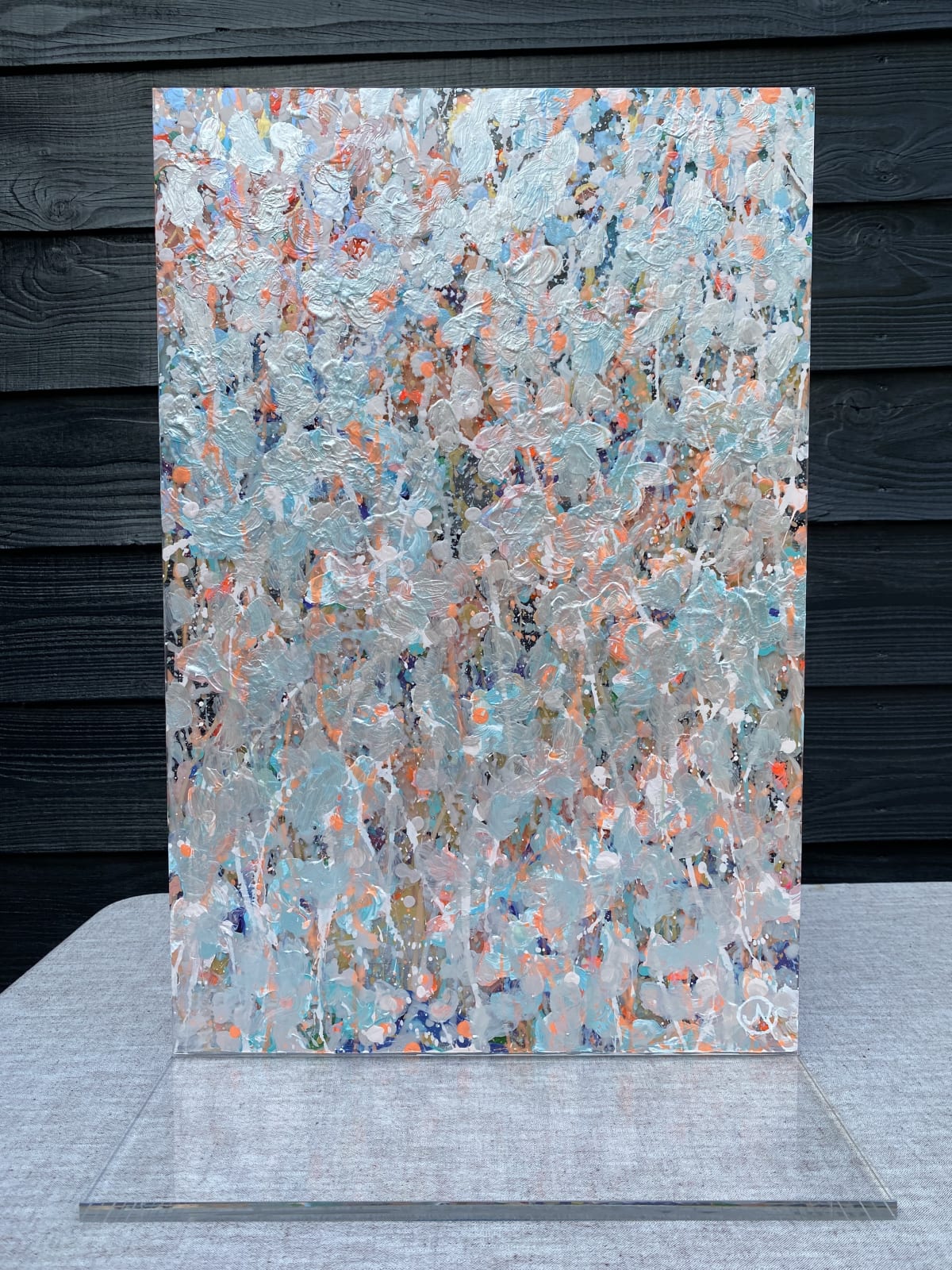 Judith de Vet, Coral and Color