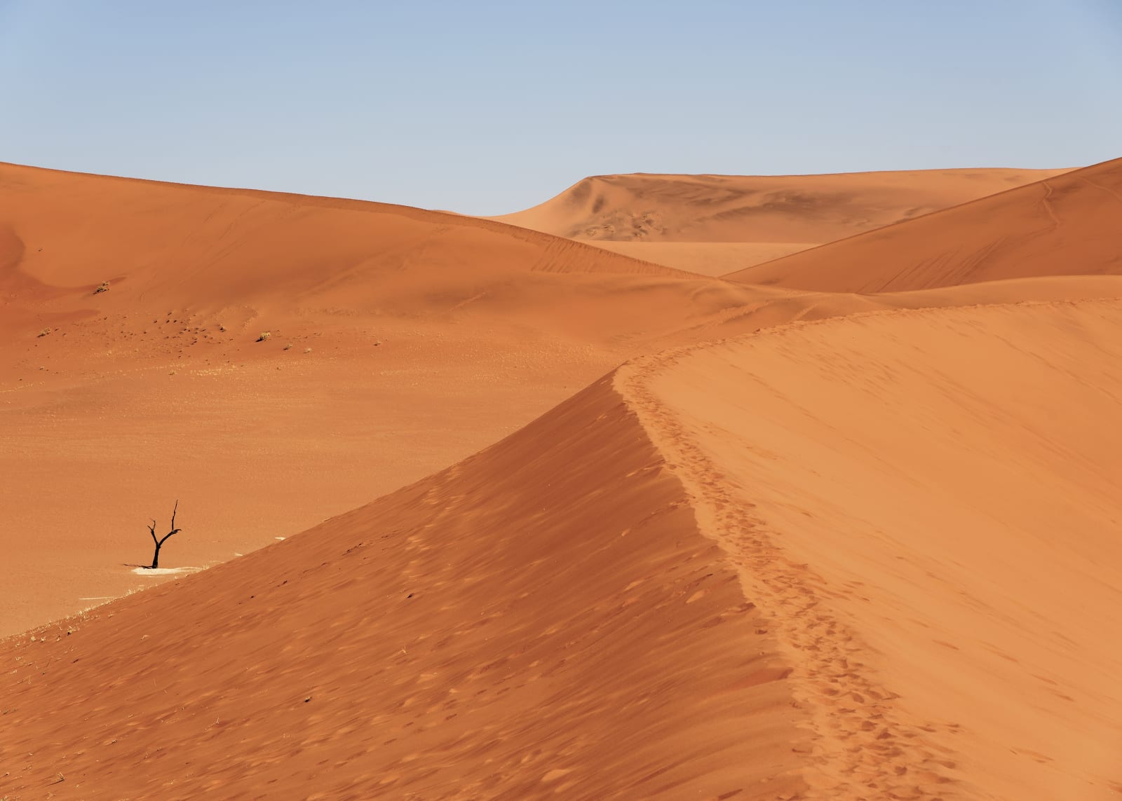 Karen Winnubst , Sossusvlei III