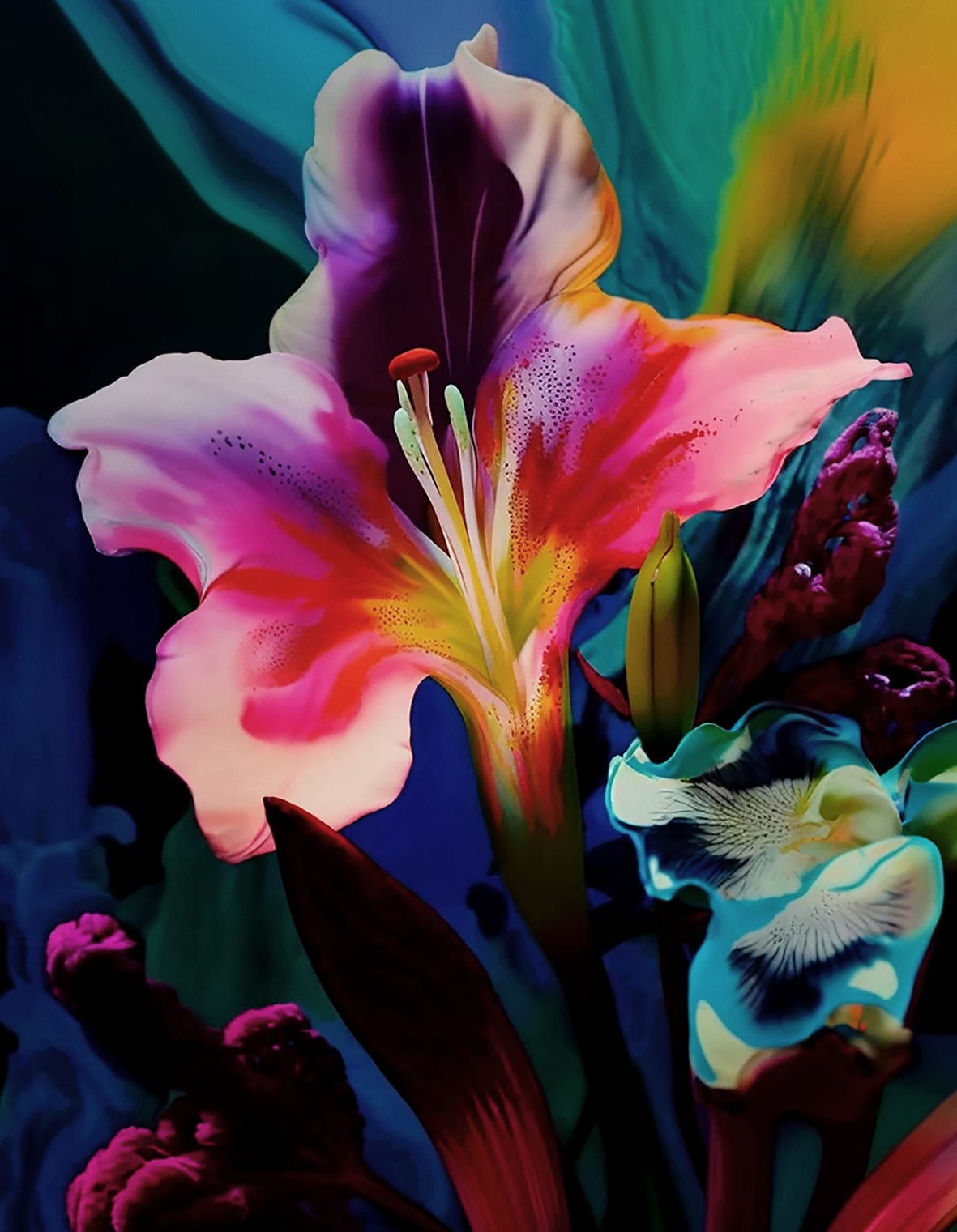 Rozemarlin Borkent, Lily