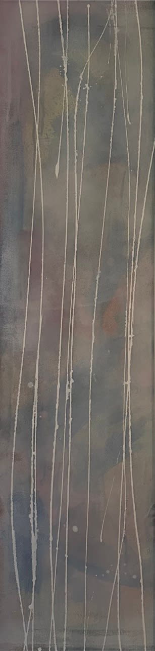 Floor in 't Veld , Revelation