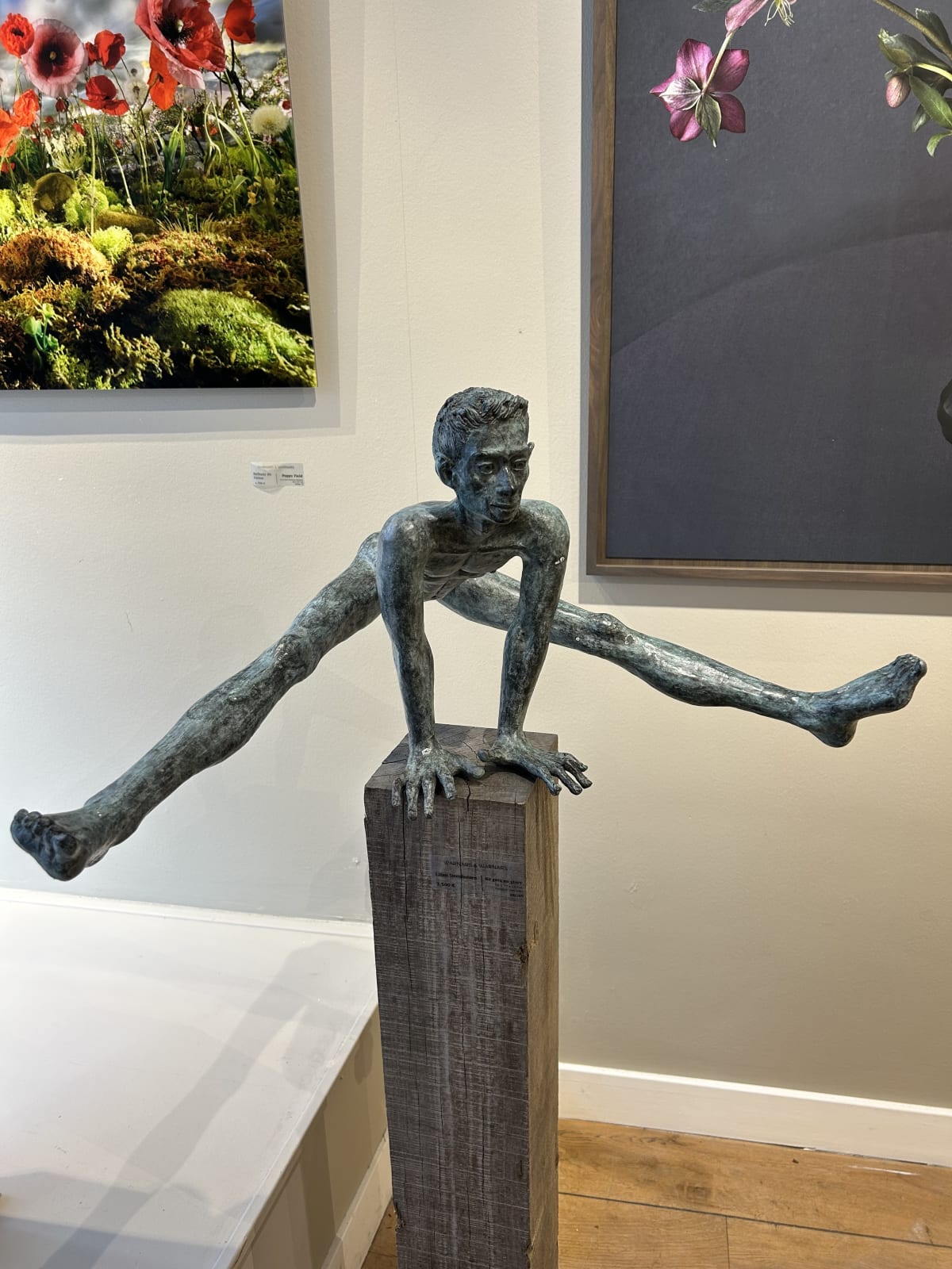 Lilian Steenhuisen, No Guts, No Glory