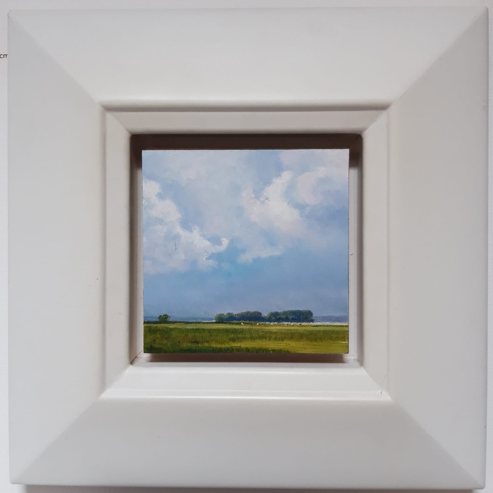 Jan Scholten, Summertime