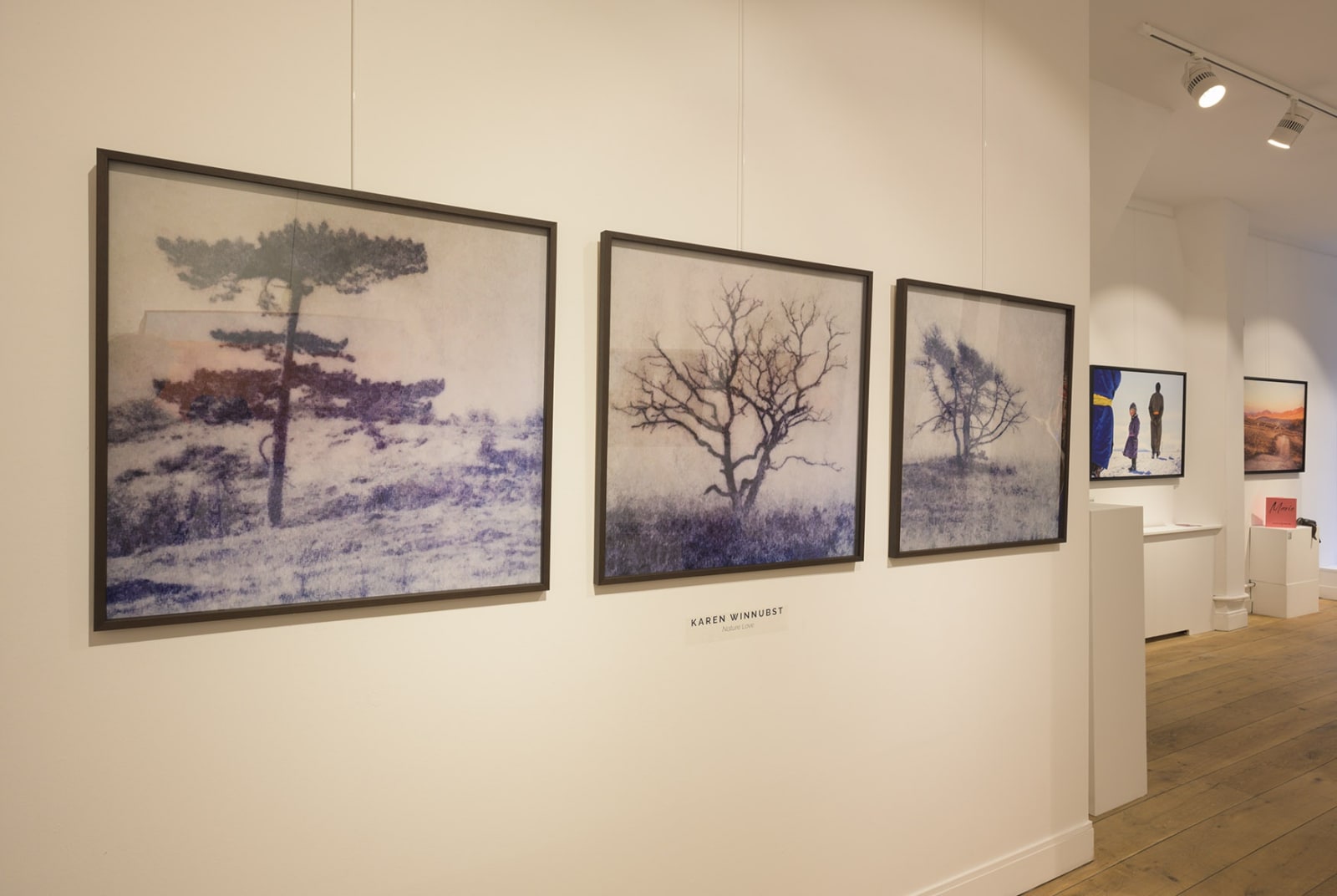 Karen Winnubst , Solitude I