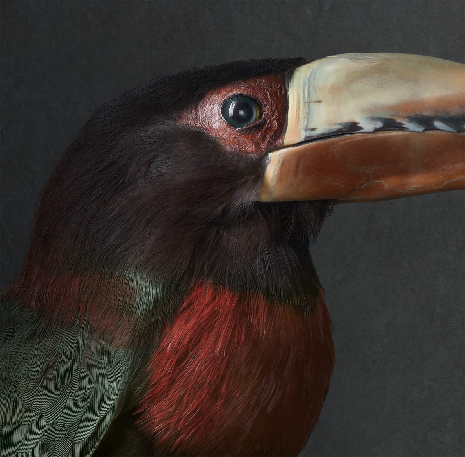 Gemmy Woud-Binnendijk, The thief