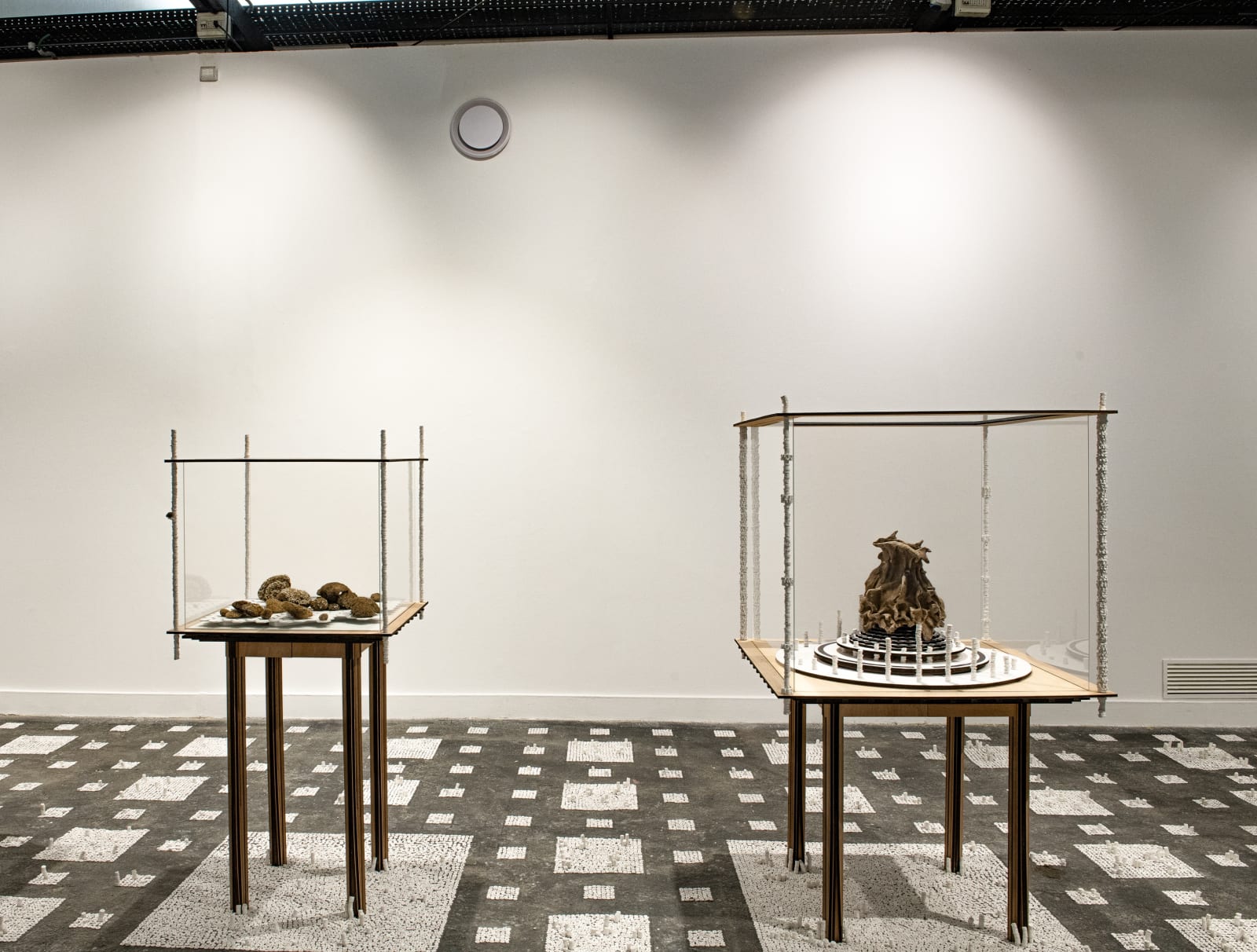 Veduta della mostra “Terra animata. Visioni tra arte e natura in Italia (1964-2023)”, Mattatoio, Roma, 2023 Foto © Azienda Speciale Palaexpo / Antonio Idini