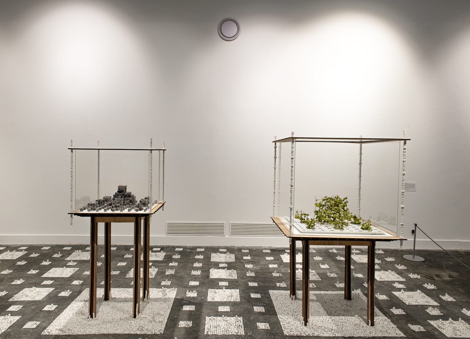 Veduta della mostra “Terra animata. Visioni tra arte e natura in Italia (1964-2023)”, Mattatoio, Roma, 2023 Foto © Azienda Speciale Palaexpo / Antonio Idini