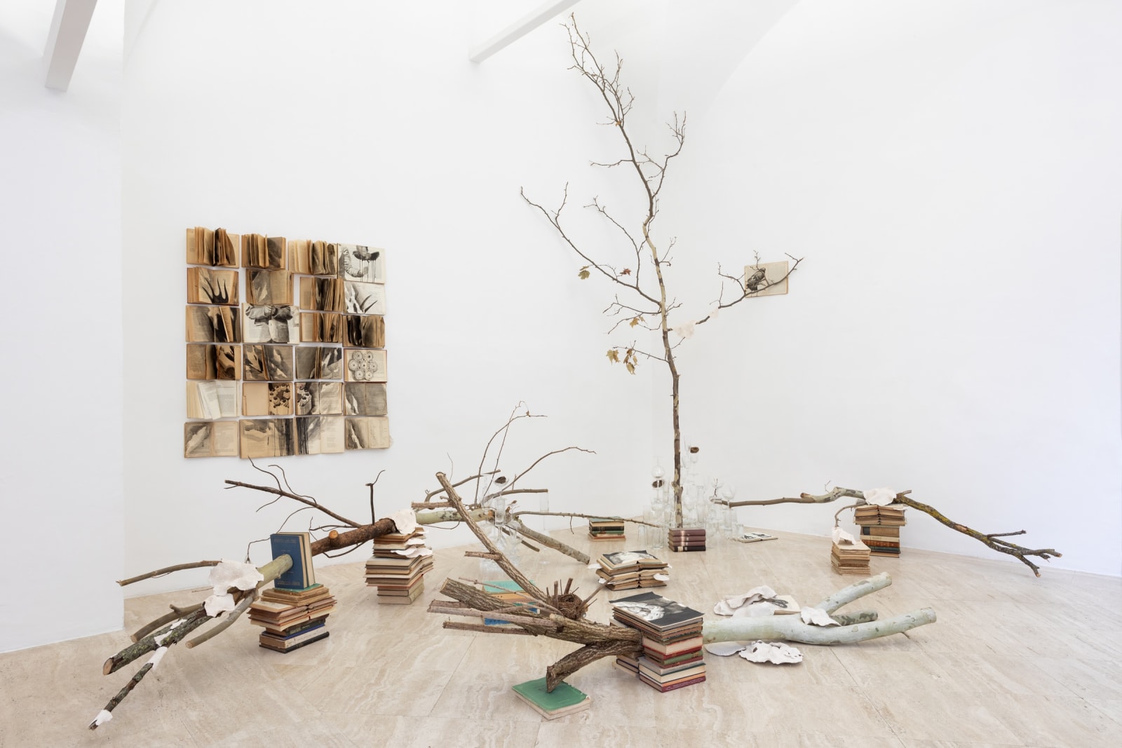 Installation View @ Fondazione Memmo, Rome | ph. Daniele Molajoli