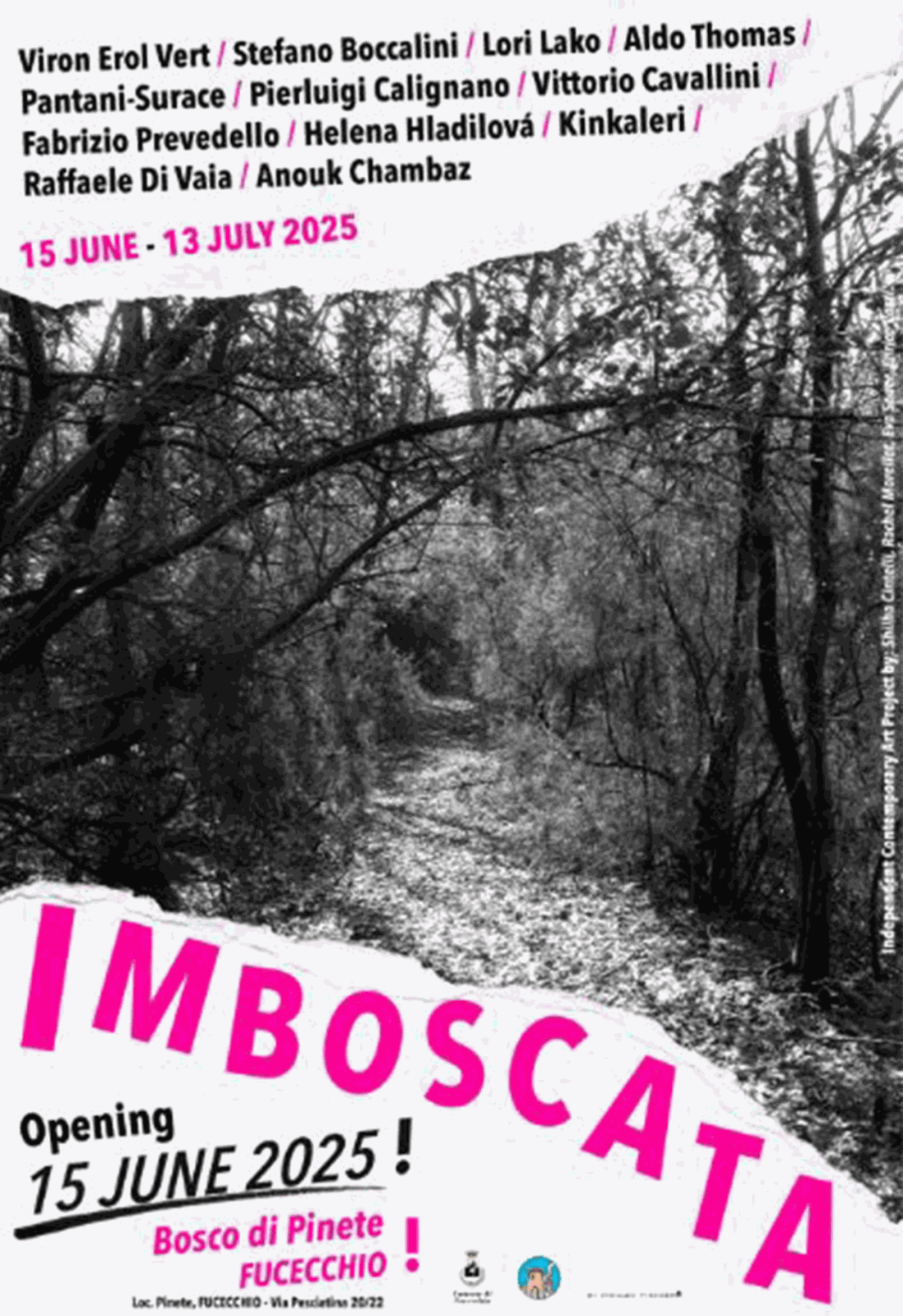 Imboscata, Bosco di Pinete