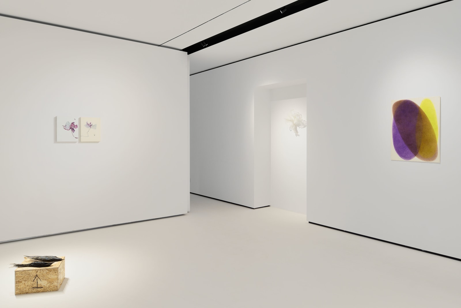 Installation View | Another Look, hosted by Reintegra Fine Art, 2025. Ph. Roberto Apa