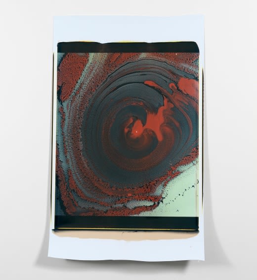 Beatrice Pediconi’s participation at Djerassi Resident Artists Programme in Woodside, California