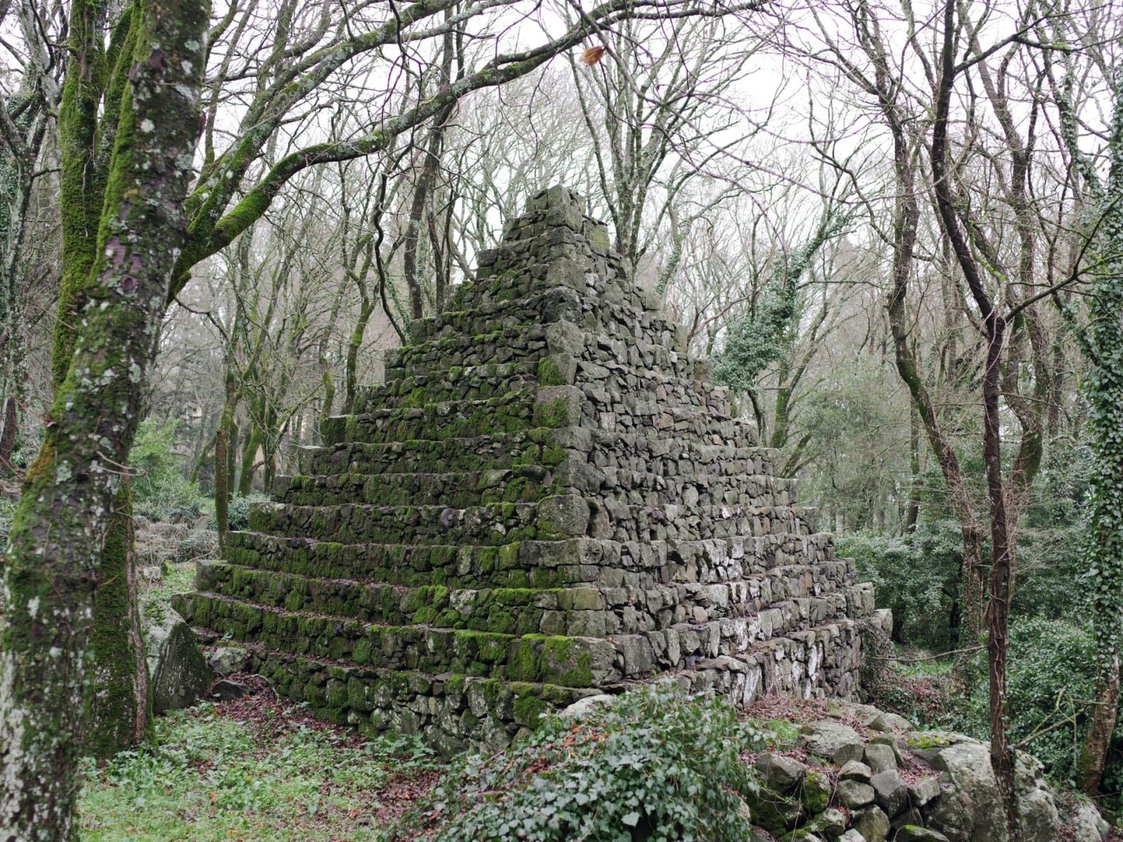 Silvia Camporesi, Bosco esoterico - Radicofani (Si)