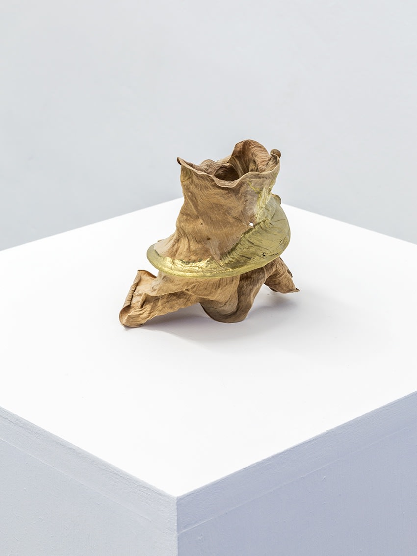 Giovanni Kronenberg, Solo show at Quartz Studio, Turin, 2020-2021, ph. Beppe Giardino