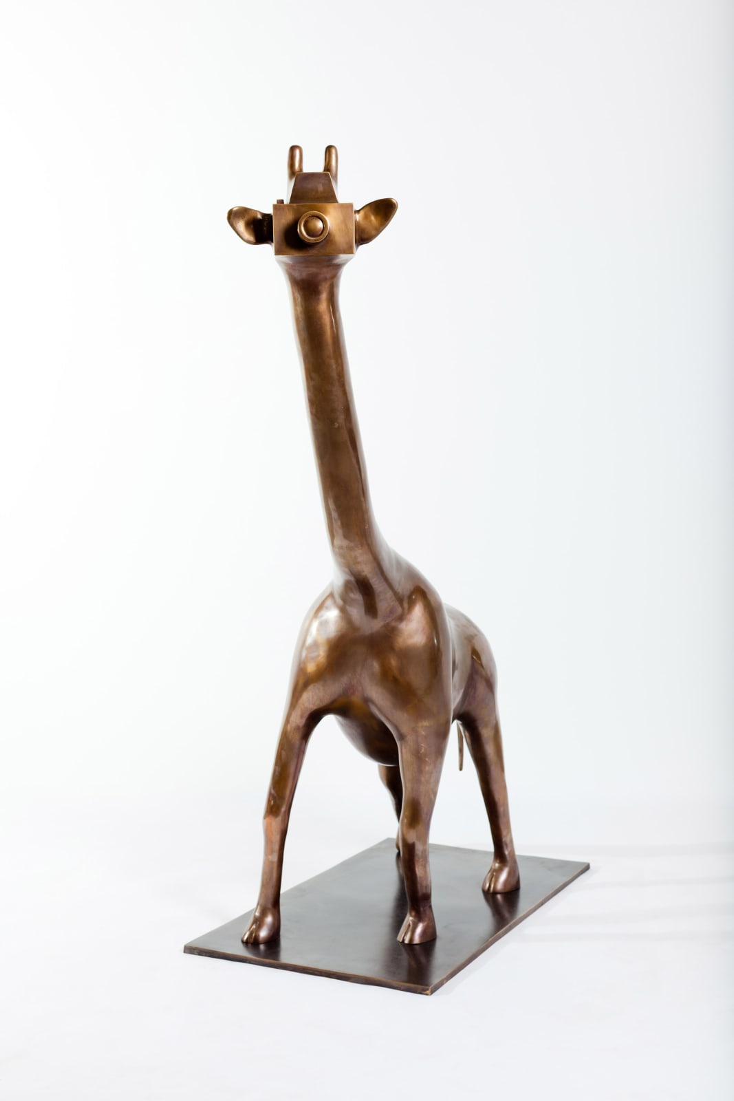 Jardineiro André Feliciano, Girafa fotográfica, 2011