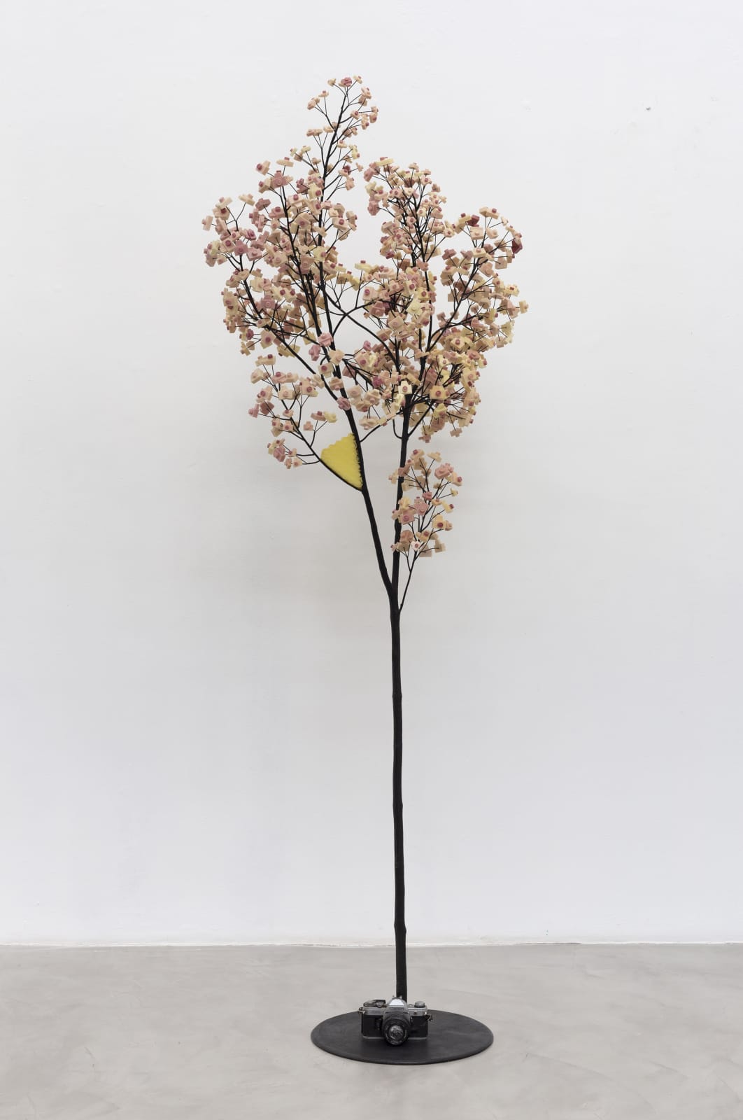 Jardineiro André Feliciano, Árvore fotográfica com colmeia, 2013