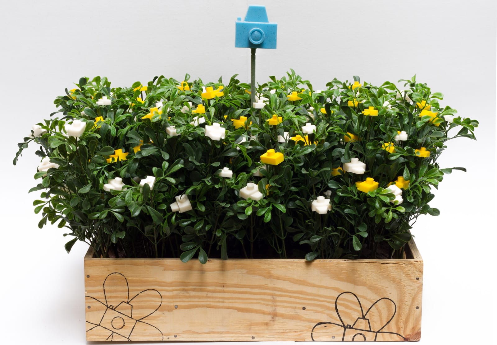 Jardineiro André Feliciano, Caixa de flores fotográficas para a Zipper, 2012