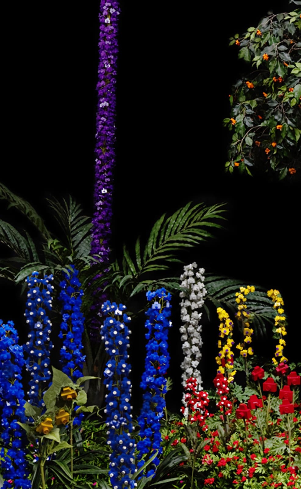 Jardineiro André Feliciano, Frutos do Jardim da Exposição Ecológica - MAM-SP 2, 2010