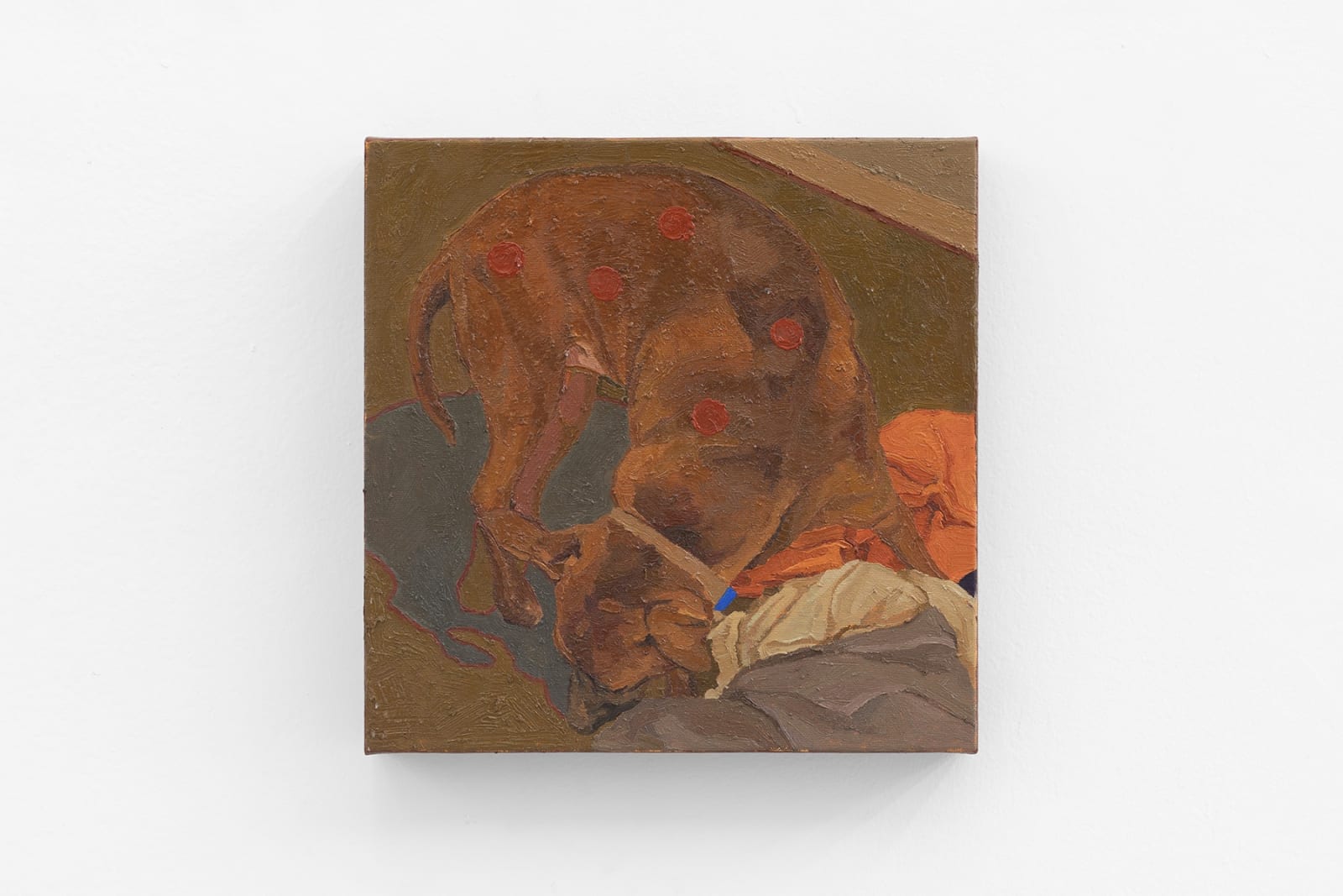 Ian Salamente, Cão para Vuillard, 2025