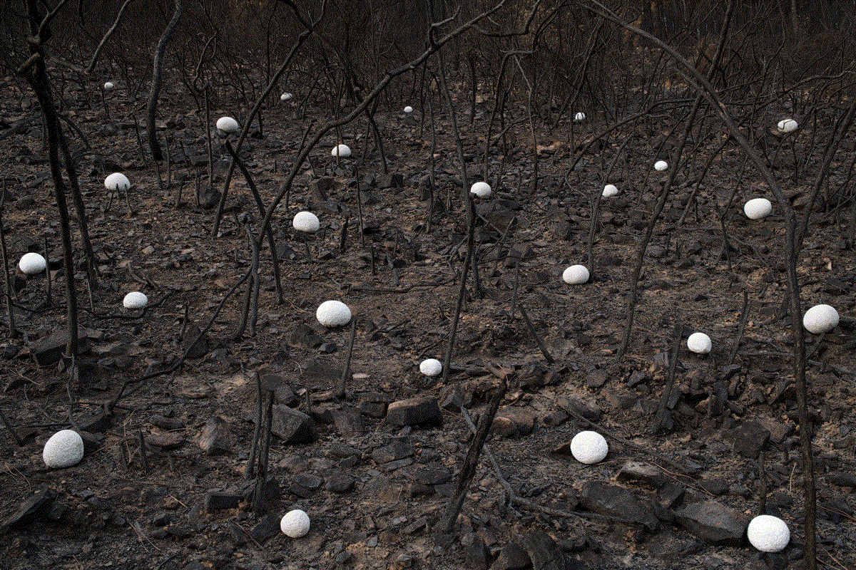 Rodrigo Braga, Ponto Zero #05, 2019