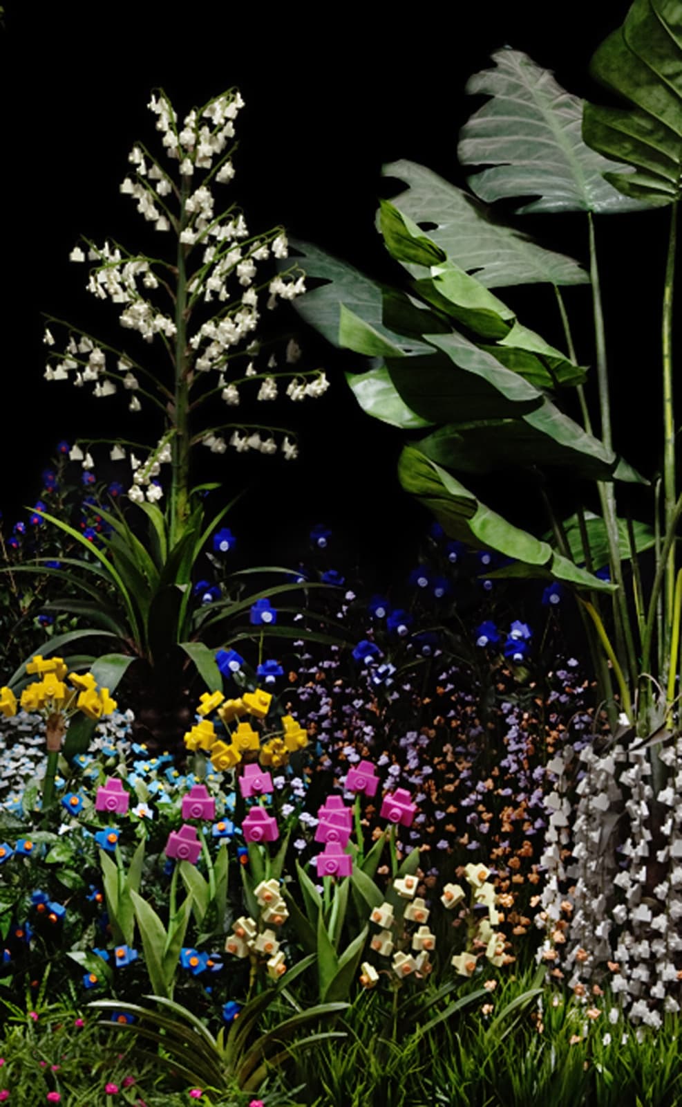 Jardineiro André Feliciano, Frutos do Jardim da Exposição Ecológica - MAM-SP 3, 2010