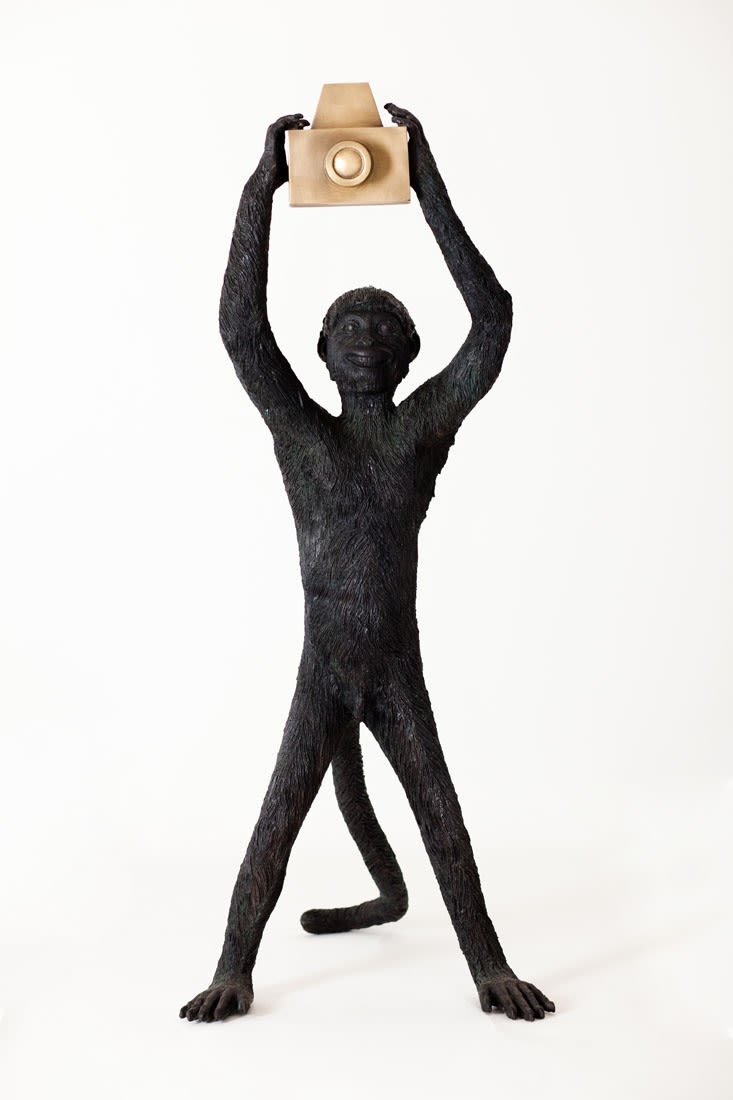 André Feliciano, Macaco Fotográfico, 2012