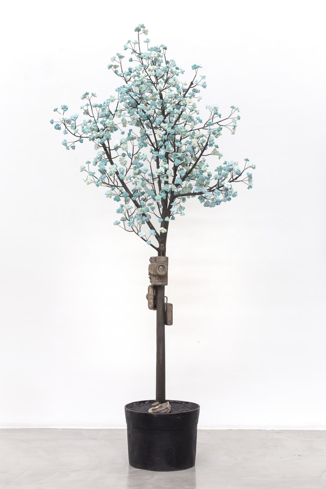 André Feliciano, Árvore fotográfica, 2022