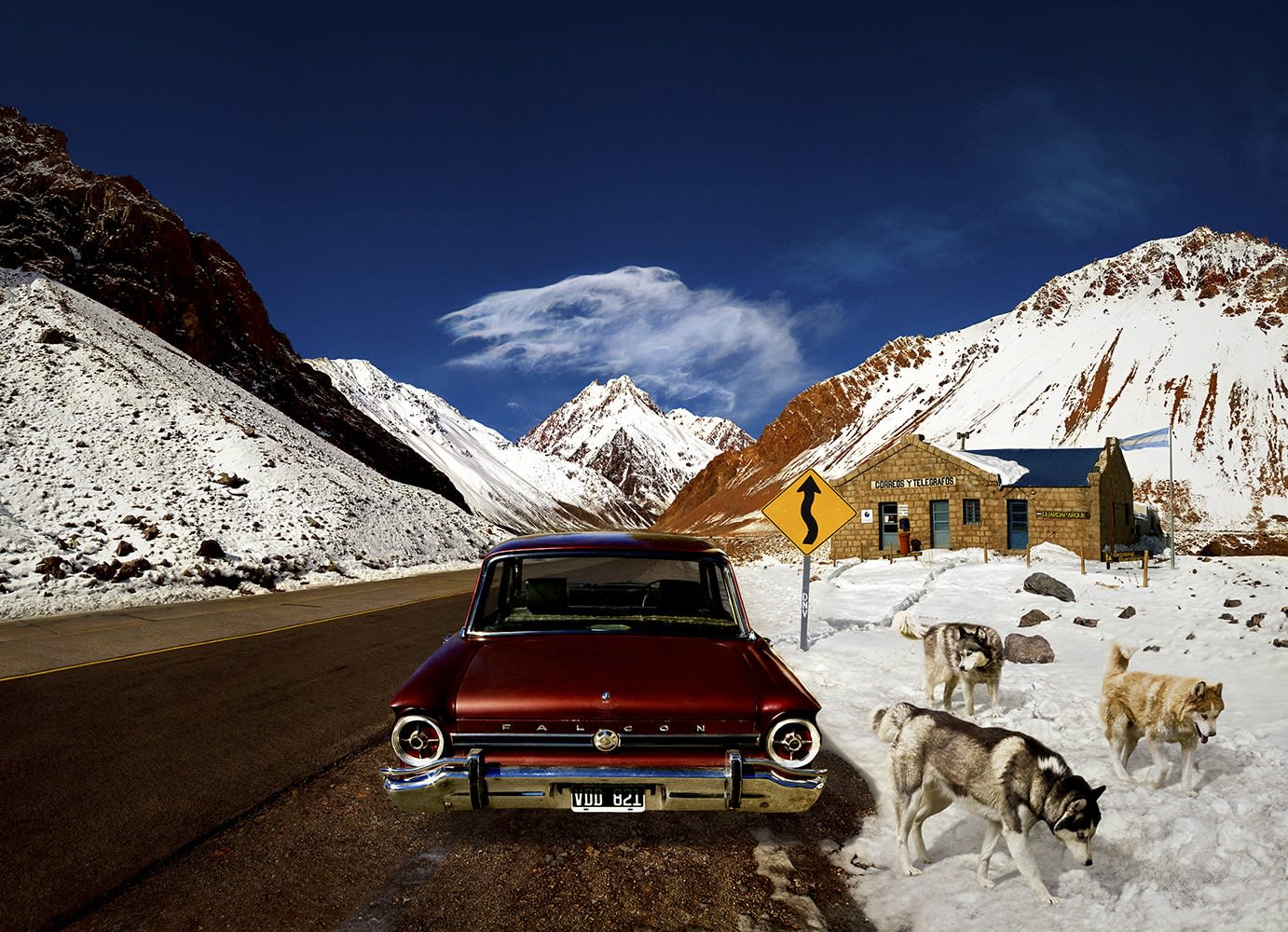Marcelo Tinoco, Aconcagua Dogs, 2011