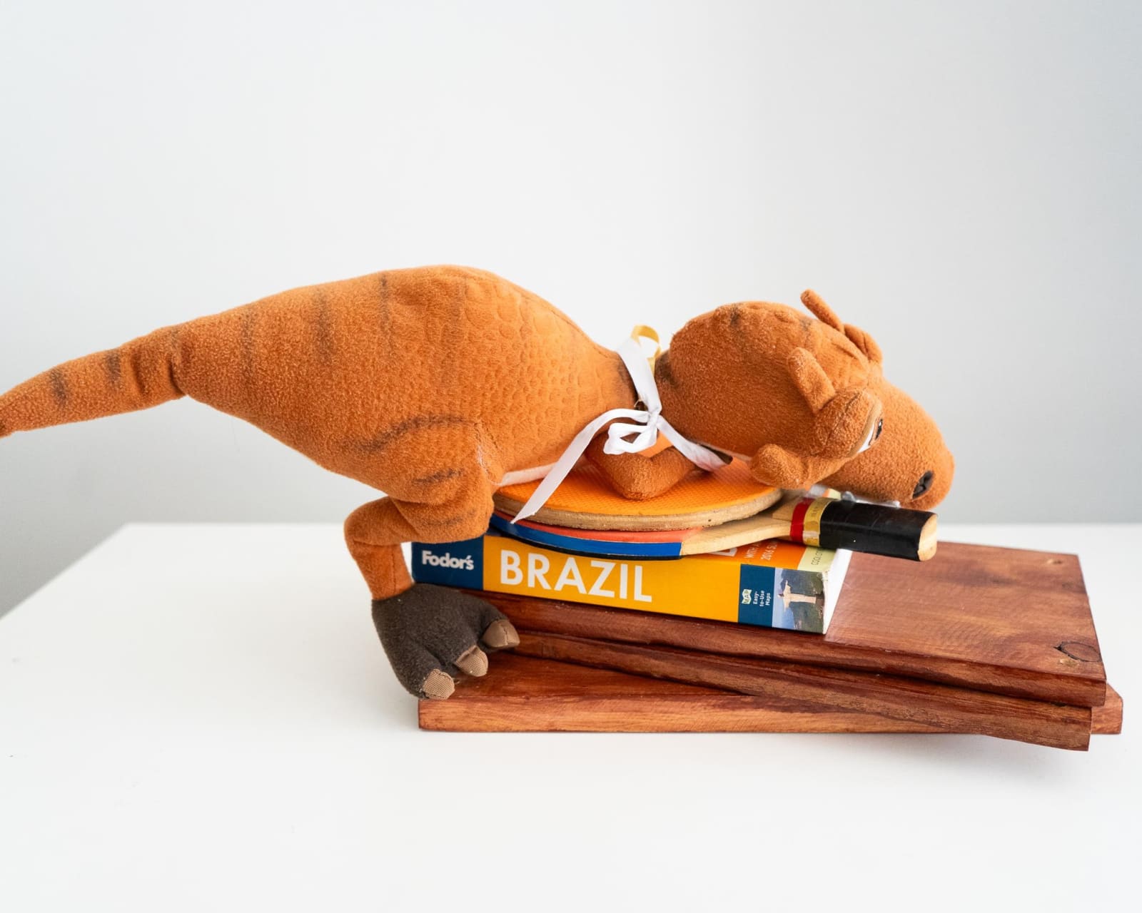 Fil Souza Vieira, Tóigod’ino em repouso, 2022