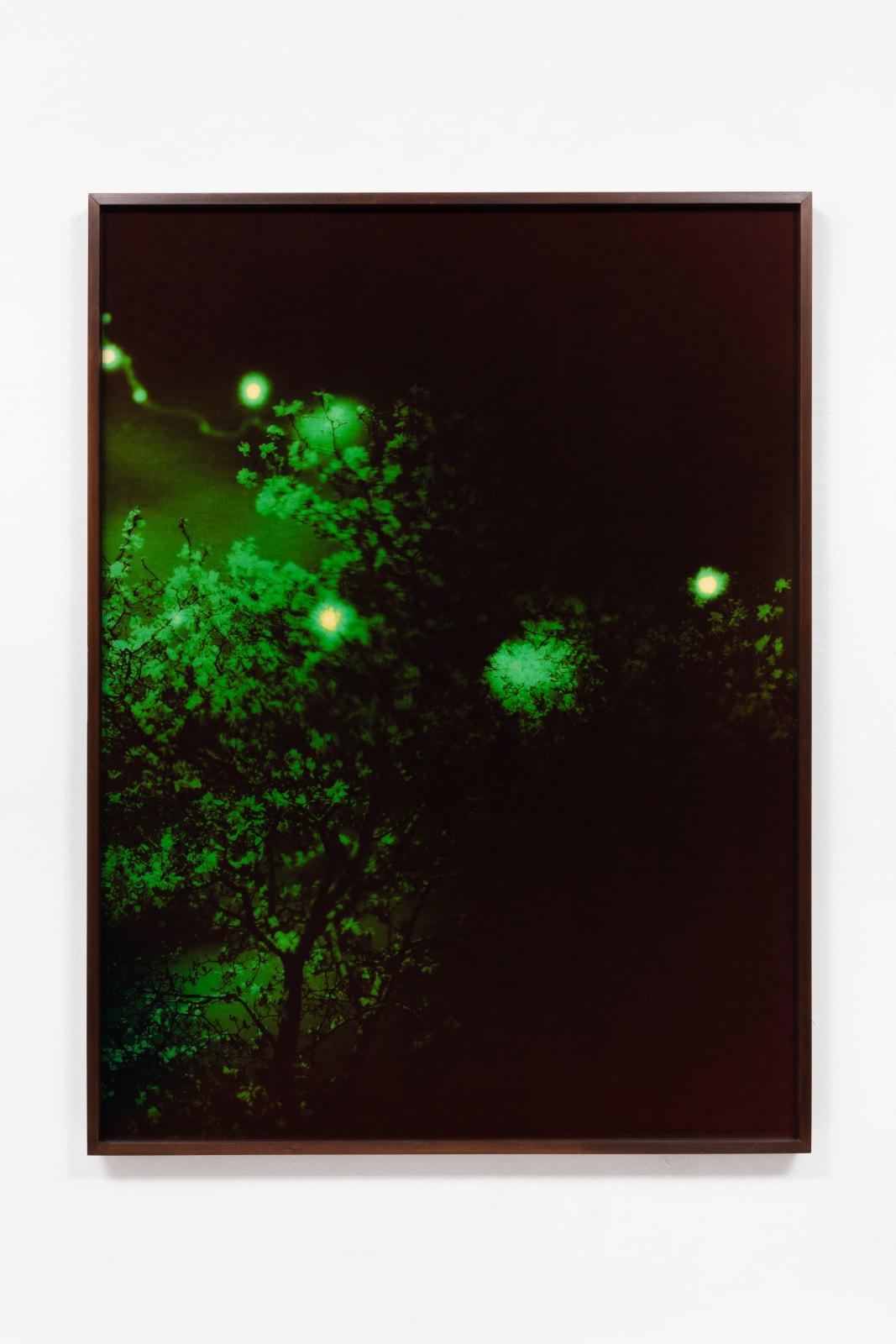 André Feliciano, vaga-lumes fotográficos, série prospect park 3, 2020